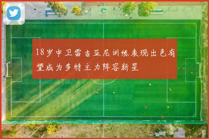 18岁中卫雷吉亚尼训练表现出色有望成为多特主力阵容新星