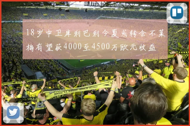 18岁中卫库利巴利今夏或转会不莱梅有望获4000至4500万欧元收益