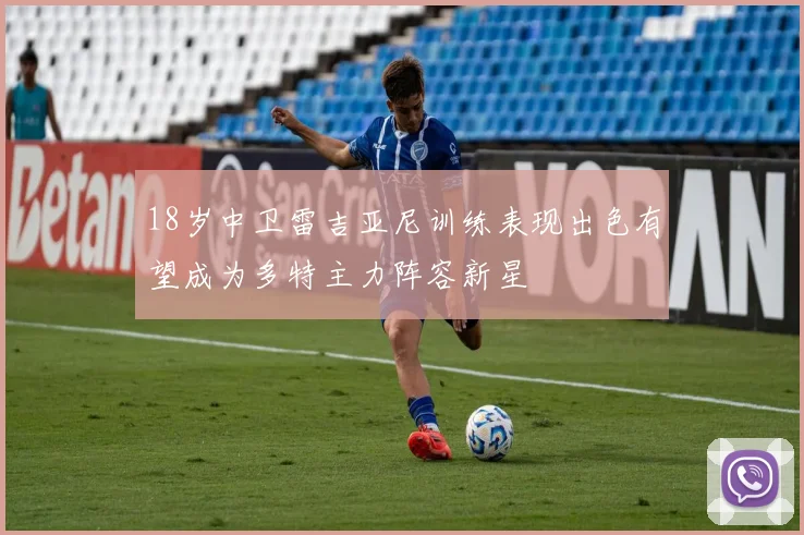 18岁中卫雷吉亚尼训练表现出色有望成为多特主力阵容新星