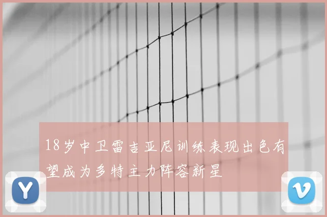 18岁中卫雷吉亚尼训练表现出色有望成为多特主力阵容新星