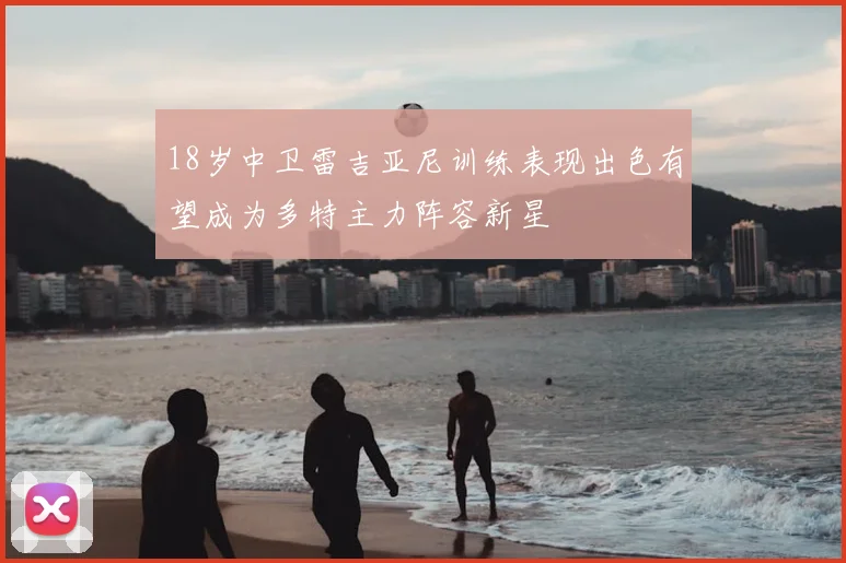 18岁中卫雷吉亚尼训练表现出色有望成为多特主力阵容新星