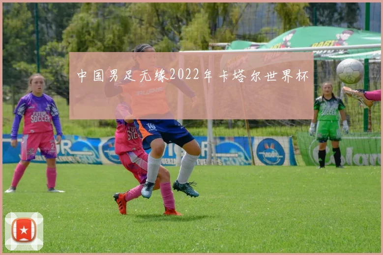 中国男足无缘2022年卡塔尔世界杯