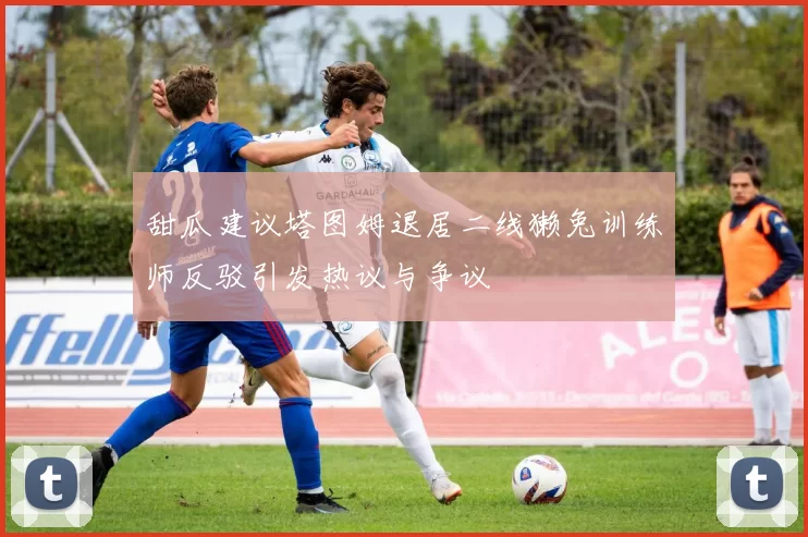 甜瓜建议塔图姆退居二线獭兔训练师反驳引发热议与争议