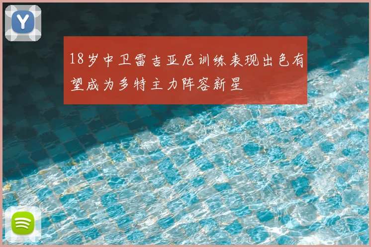 18岁中卫雷吉亚尼训练表现出色有望成为多特主力阵容新星