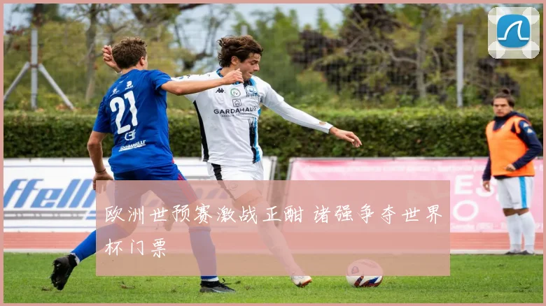欧洲世预赛激战正酣 诸强争夺世界杯门票
