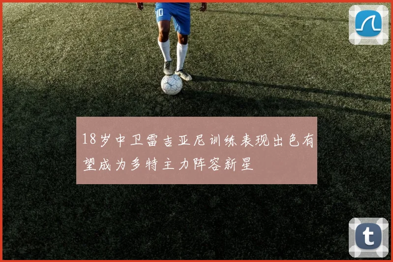 18岁中卫雷吉亚尼训练表现出色有望成为多特主力阵容新星
