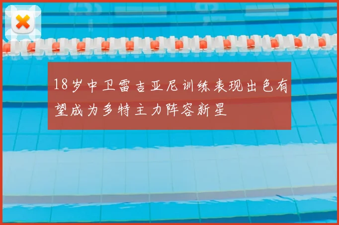 18岁中卫雷吉亚尼训练表现出色有望成为多特主力阵容新星