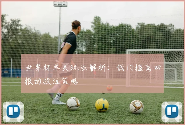 世界杯单关玩法解析:低门槛高回报的投注策略