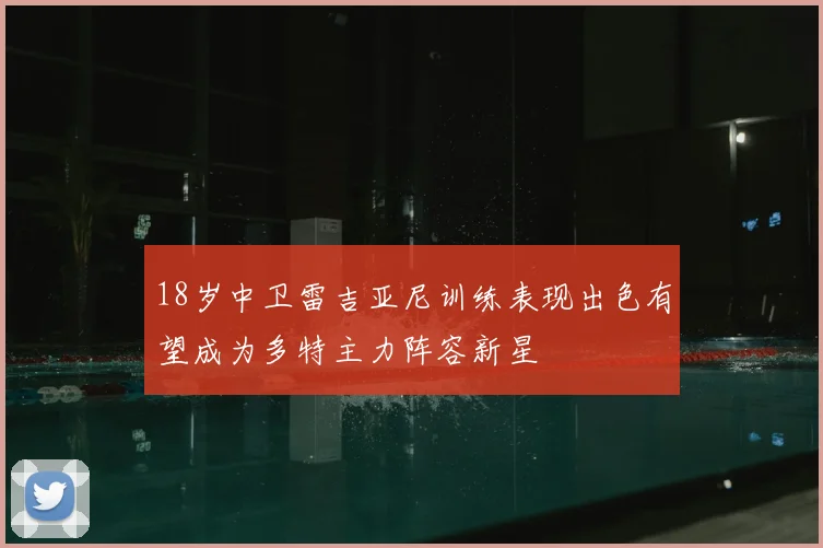 18岁中卫雷吉亚尼训练表现出色有望成为多特主力阵容新星