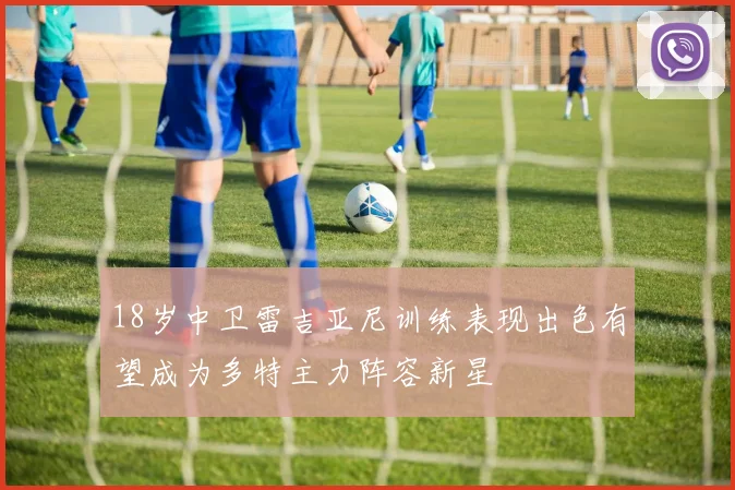 18岁中卫雷吉亚尼训练表现出色有望成为多特主力阵容新星