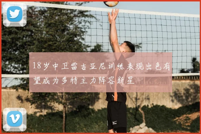 18岁中卫雷吉亚尼训练表现出色有望成为多特主力阵容新星