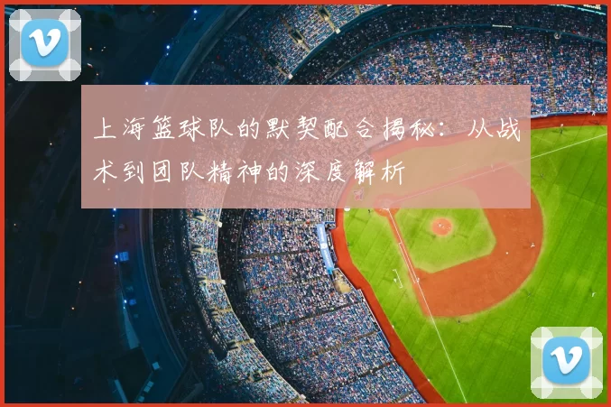 上海篮球队的默契配合揭秘：从战术到团队精神的深度解析