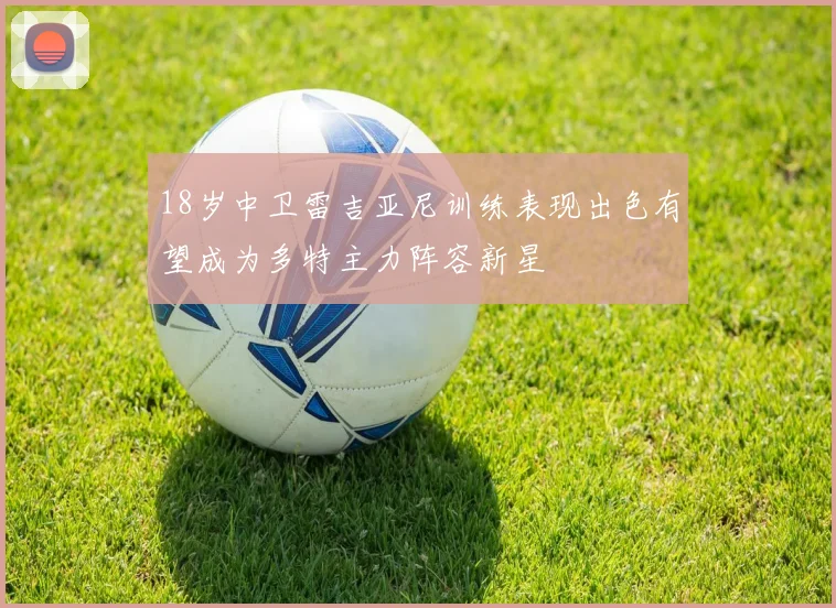18岁中卫雷吉亚尼训练表现出色有望成为多特主力阵容新星