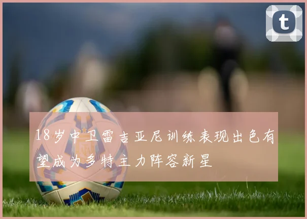 18岁中卫雷吉亚尼训练表现出色有望成为多特主力阵容新星