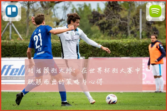 对话预测大师：在世界杯测大赛中脱颖而出的策略与心得