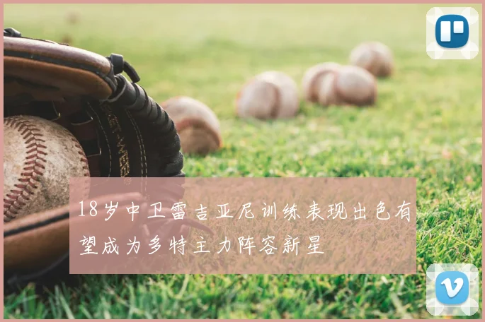18岁中卫雷吉亚尼训练表现出色有望成为多特主力阵容新星