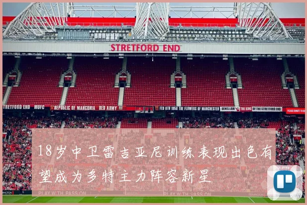 18岁中卫雷吉亚尼训练表现出色有望成为多特主力阵容新星