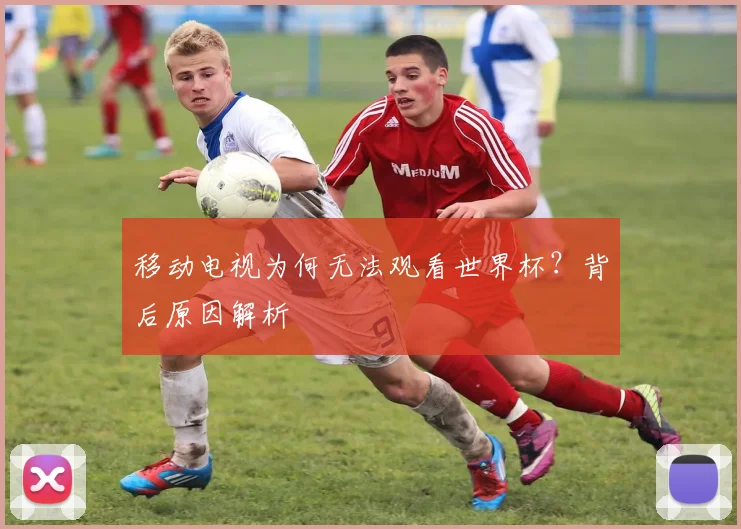 移动电视为何无法观看世界杯?背后原因解析
