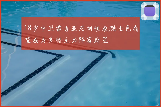 18岁中卫雷吉亚尼训练表现出色有望成为多特主力阵容新星