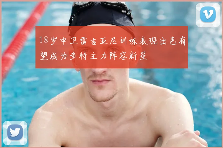 18岁中卫雷吉亚尼训练表现出色有望成为多特主力阵容新星