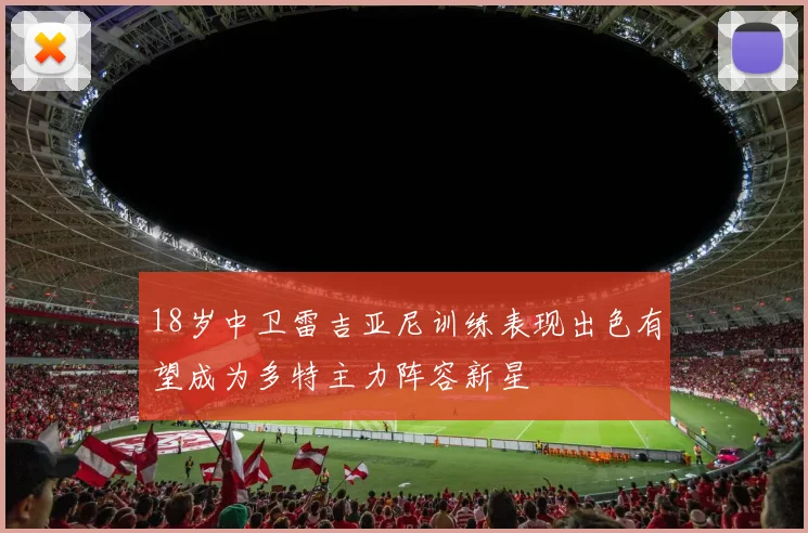 18岁中卫雷吉亚尼训练表现出色有望成为多特主力阵容新星