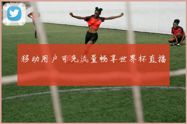 移动用户可免流量畅享世界杯直播