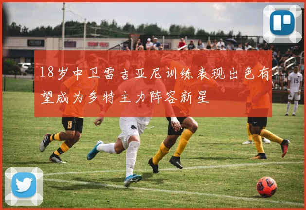 18岁中卫雷吉亚尼训练表现出色有望成为多特主力阵容新星