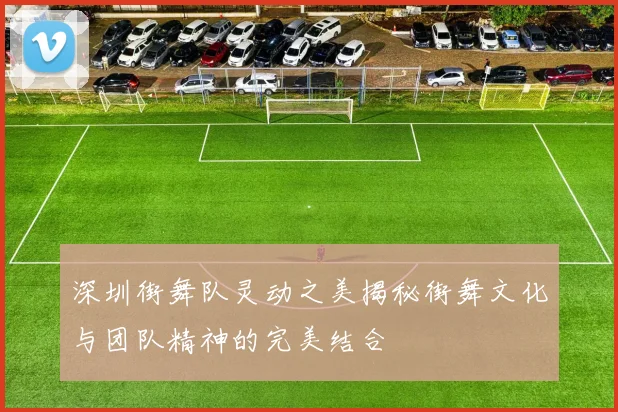 深圳街舞队灵动之美揭秘街舞文化与团队精神的完美结合