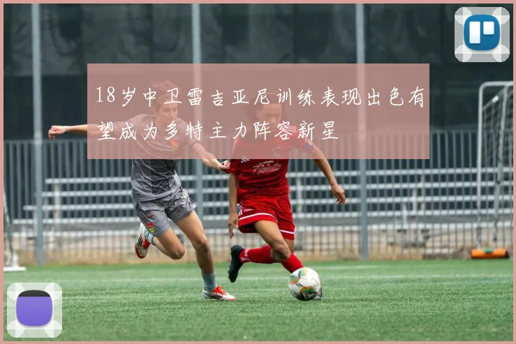 18岁中卫雷吉亚尼训练表现出色有望成为多特主力阵容新星