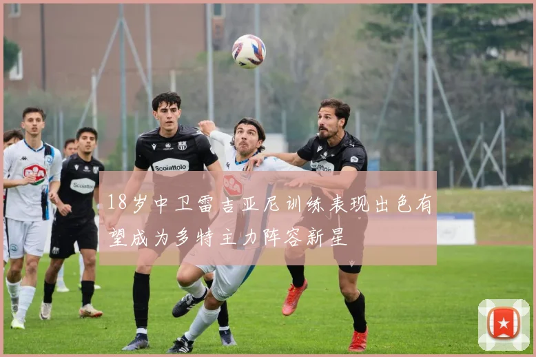 18岁中卫雷吉亚尼训练表现出色有望成为多特主力阵容新星