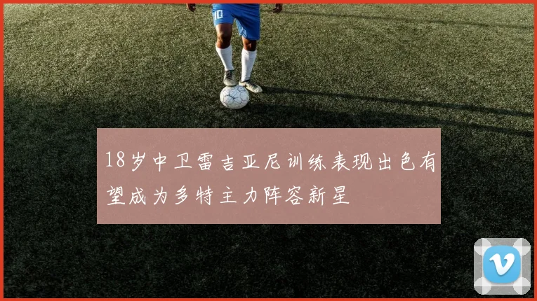 18岁中卫雷吉亚尼训练表现出色有望成为多特主力阵容新星