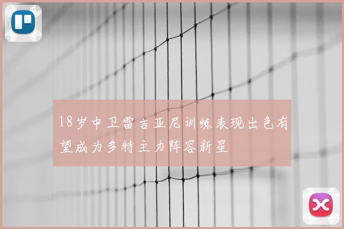 18岁中卫雷吉亚尼训练表现出色有望成为多特主力阵容新星