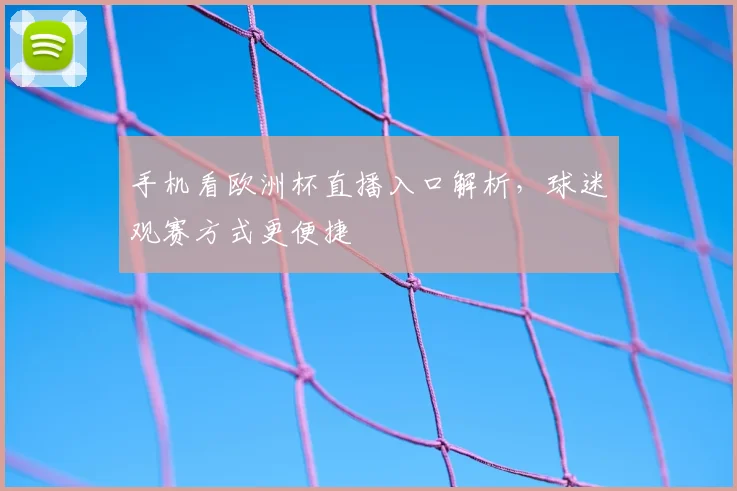 手机看欧洲杯直播入口解析，球迷观赛方式更便捷
