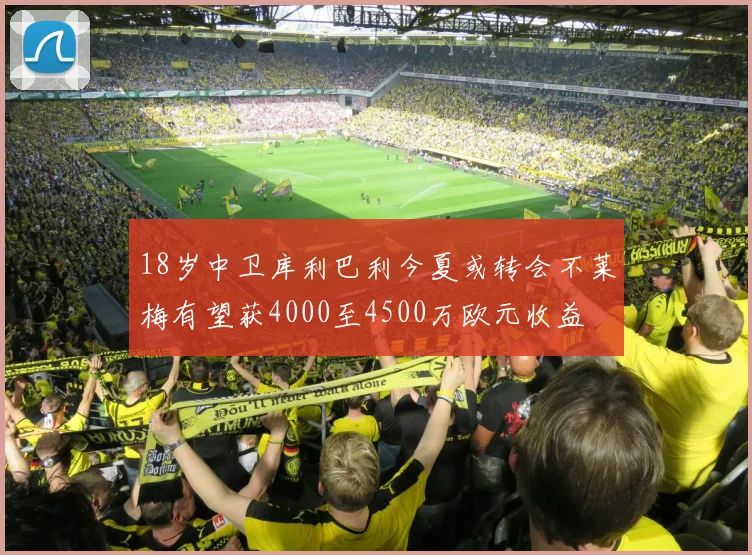 18岁中卫库利巴利今夏或转会不莱梅有望获4000至4500万欧元收益