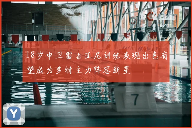 18岁中卫雷吉亚尼训练表现出色有望成为多特主力阵容新星