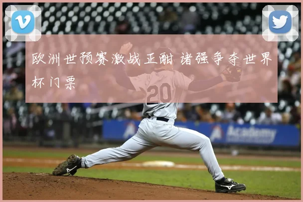 欧洲世预赛激战正酣 诸强争夺世界杯门票