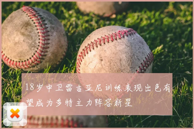 18岁中卫雷吉亚尼训练表现出色有望成为多特主力阵容新星