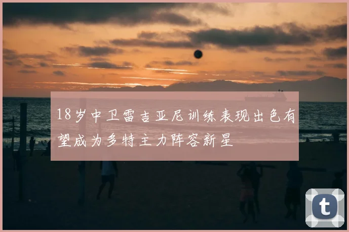 18岁中卫雷吉亚尼训练表现出色有望成为多特主力阵容新星