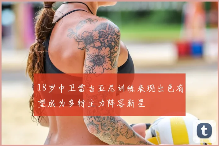 18岁中卫雷吉亚尼训练表现出色有望成为多特主力阵容新星