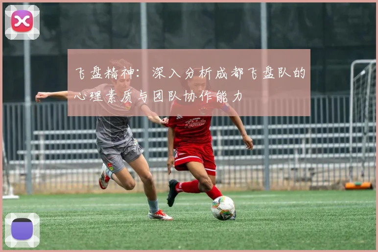 飞盘精神：深入分析成都飞盘队的心理素质与团队协作能力